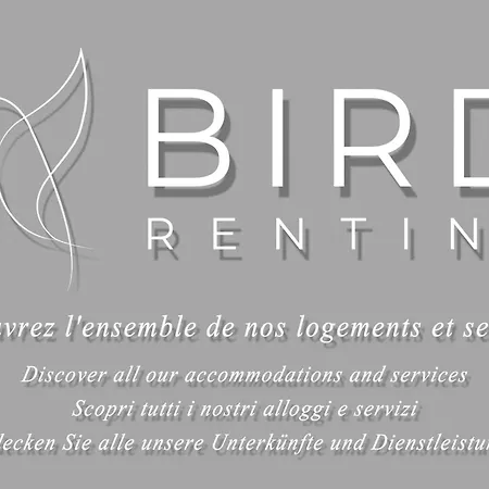 Breathtaking View Of The Big Blue